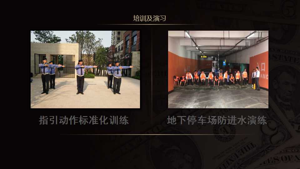 惠州哪里有犬防公司